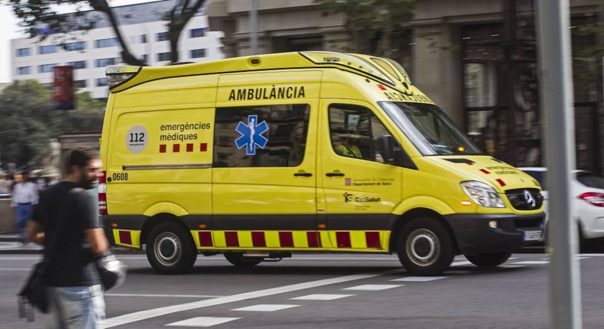 EL PAÍS