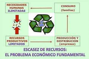Qué Papel Juegan los Recursos Escasos en la Economía