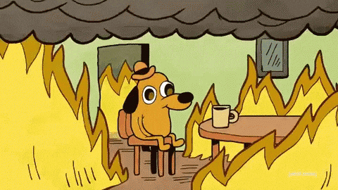 Perrito del meme 