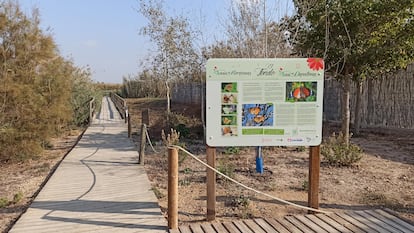 El proyecto Oasis de Mariposas es una iniciativa de carácter estatal desarrollada por la Asociación ZERYNTHIA, abierta a cualquier persona o colectivo interesado en participar.