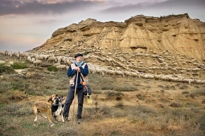 El cordero forma parte del paisaje navarro: los rebaños de ovejas lo cruzan de norte a sur en busca de los pastos de invierno de las Bardenas Reales (en la foto). Los guisos de lechal o ternasco son un icono.