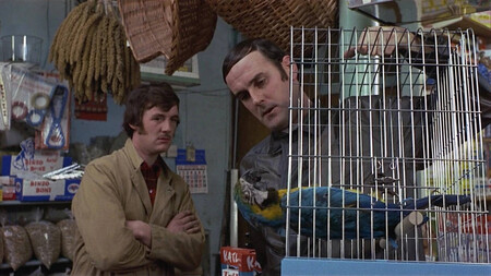 Dead Parrot