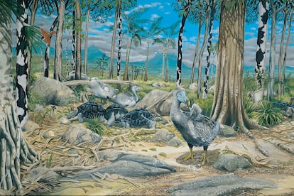 Escena de bosque seco que muestra el hábitat en el que vivía el dodo junto con otras especies autóctonas de la isla Mauricio. 