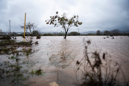 Imagen de las lluvias caídas en la comarca de La Ribera de Valencia.