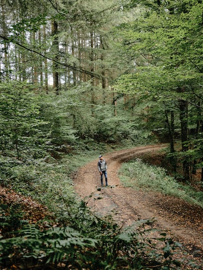 Wohlleben, en el bosque de hayas cerca de su casa en Hümmel (Alemania), que conoce como la palma de su mano.
