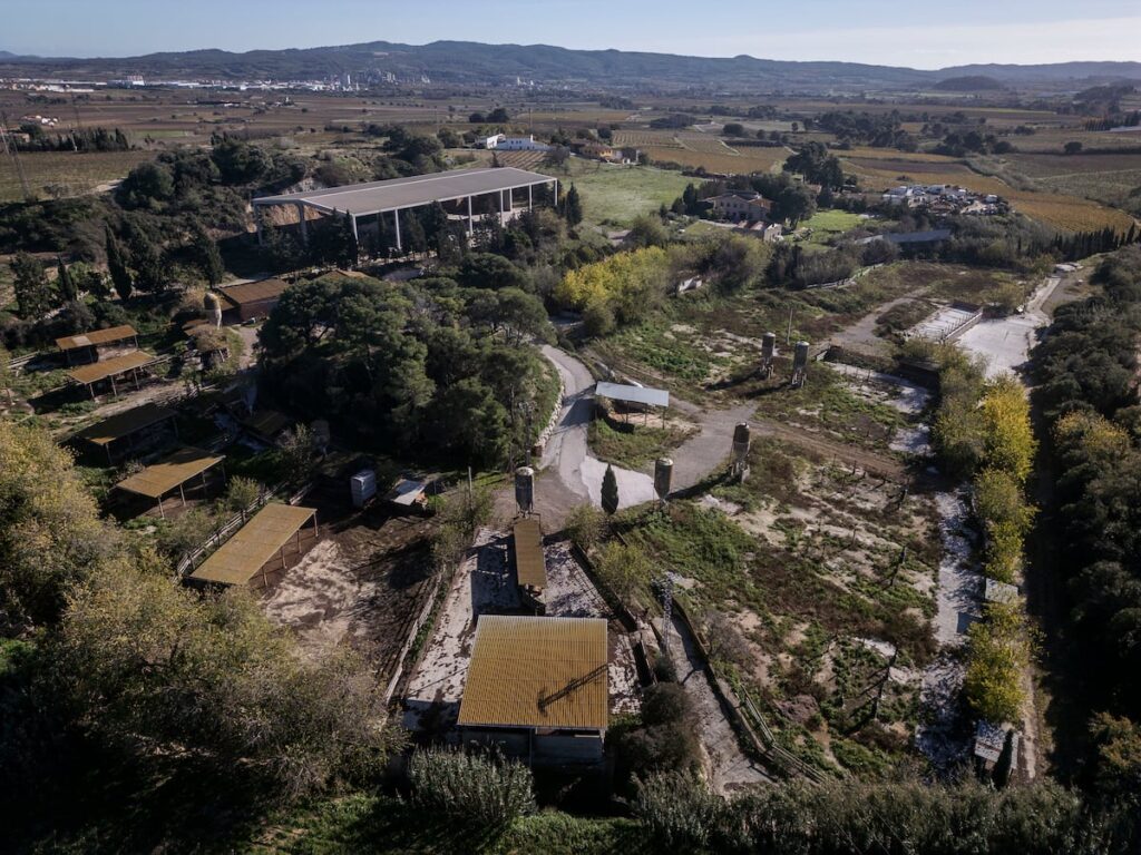 EL PAÍS