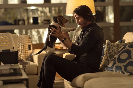 John Wick Perro