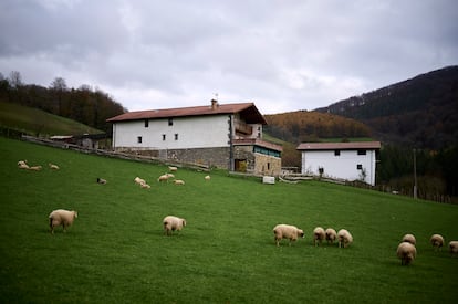 Vista de los caseríos de la zona de Gorriztaran, junto a Leiza. 
