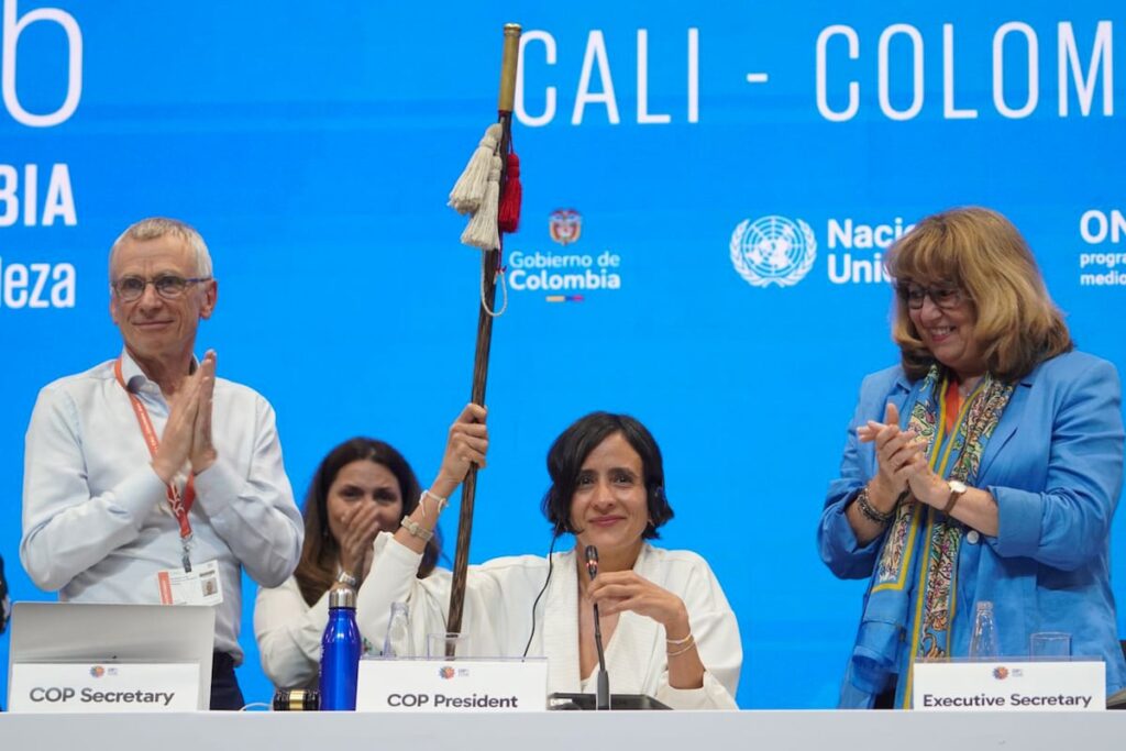 EL PAÍS