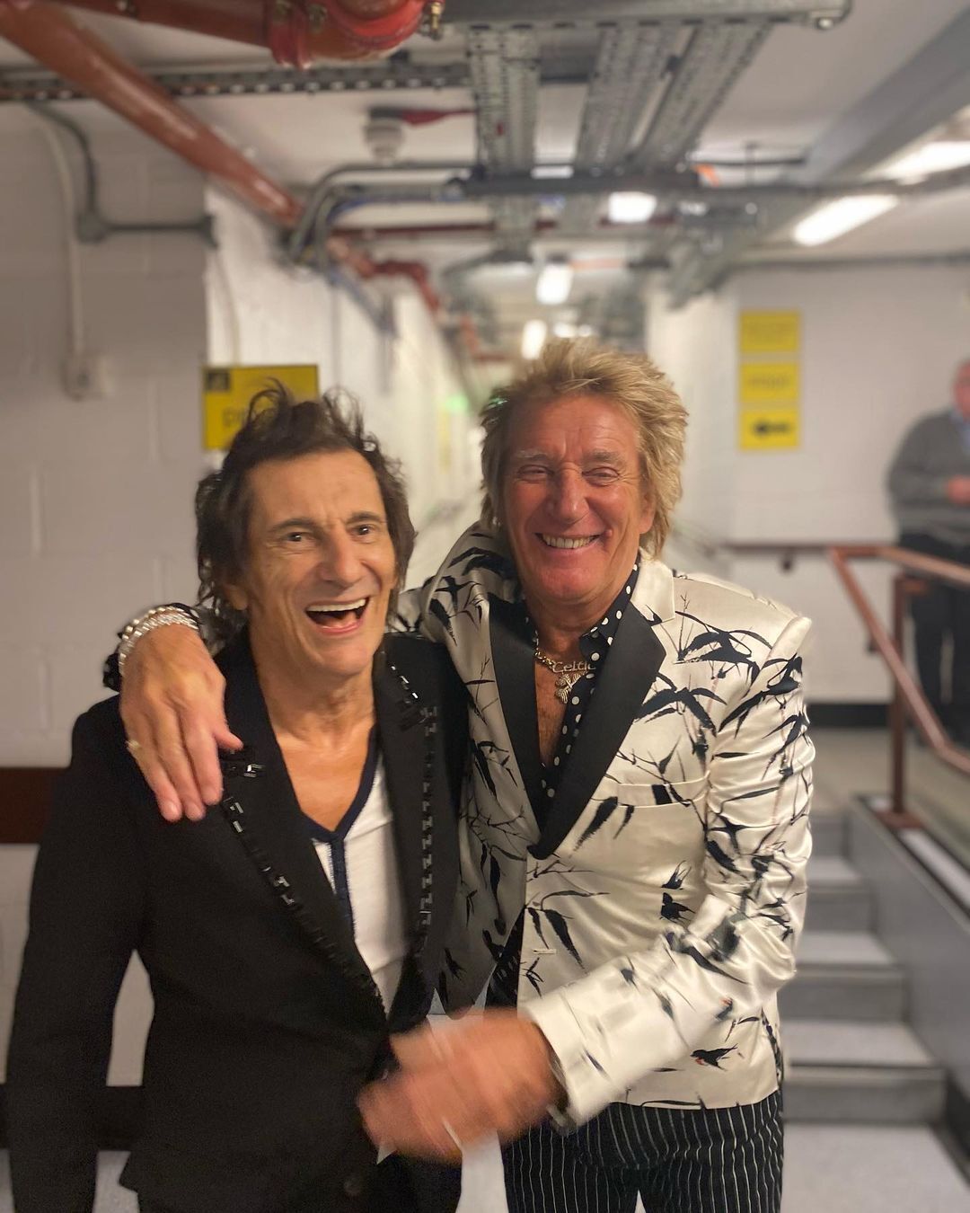 Rod Stewart anuncia que dejará el rock de manera definitiva cuando termine  su gira actual | Marca