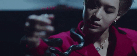 Taemin sentado con su serpiente mientras se siente agradecido con sus fans de México por todo el apoyo que le han dado a lo largo de su carrera.- Blog Hola Telcel