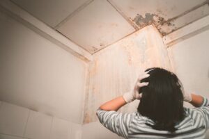 PILPERCA - ¡Entérate! Patologías constructivas; Cuáles son las más comunes - FOTO