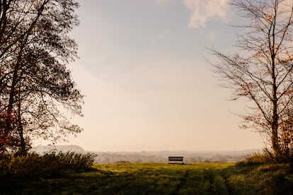 Mirador al final de la avenida, que surge de un lateral de Hadspen House. Según la leyenda, en una de las colinas del fondo se encontraba el reino de Camelot. 