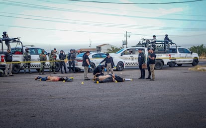 Cinco cuerpos encontrados frente a la Facultad de Agronomía en Culiacán.