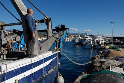 Un pescador observa los barcos de arrastre amarrados en el puerto de La Caleta de Vélez-Málaga (Málaga), este martes.