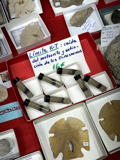Frascos de vidrio con sedimento del límite K-T, que indica la caída del meteorito que mató a los dinosaurios hace 66 millones de años.