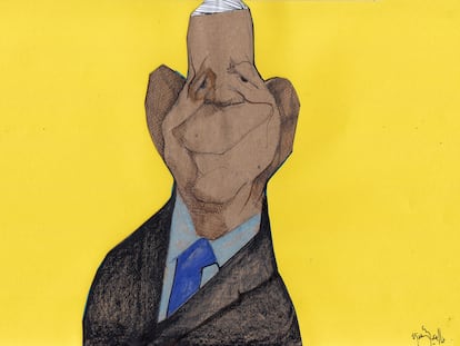 Un año ilustrado 2024