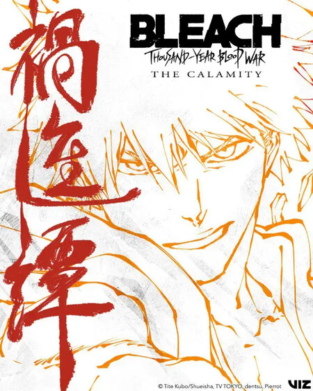 Bleach Poster