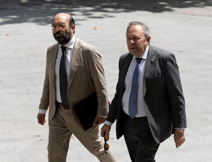 El  exvicerrector de la Universidad Complutense de Madrid Juan Carlos Doadrio (a la derecha) llega el pasado julio a los juzgados de Plaza de Castilla, en Madrid, para declarar ante el juez Juan Carlos Peinado.
