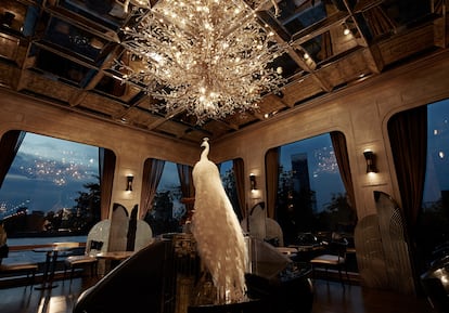 Interior del bar del Capella Bangkok con un pavo real disecado, un animal muy preciado en la cultura budista.