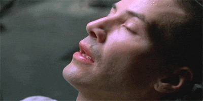 Keanu Reeves diciendo que ha aprendido Kung Fu en una escena de la primera película de Matrix Keanu Reeves emocionado porque luego de ver la nueva película de Matrix con o sin Will Smith saldremos de las salas casi sabiendo Kung Fu.- Blog Hola Telcel