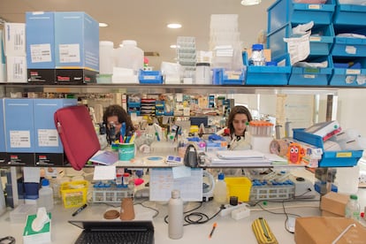 Two researchers in a CHUAC laboratory
