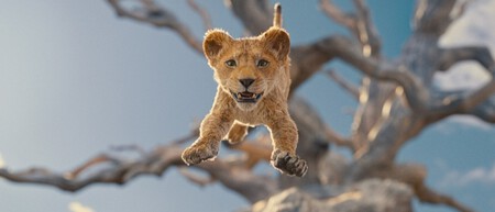Mufasa Rey