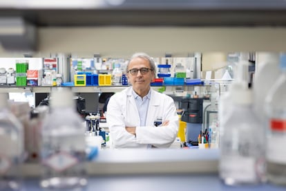 Josep Maria Llovet, investigador principal del ensayo clínico, posa en los laboratorios del Idibaps en Barcelona.