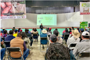 Qué Estrategias de Capacitación son Más Efectivas para los Ganaderos