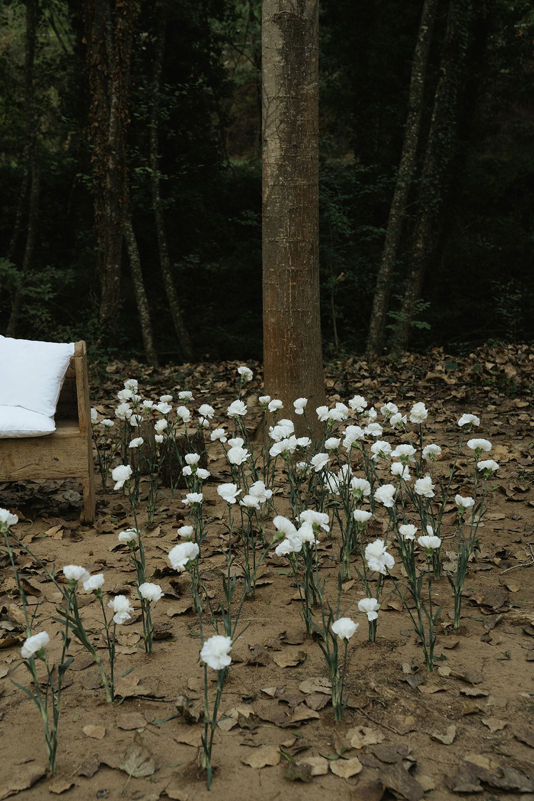 Boda Girona Can Riera de la Pineda vestido novia The Muse Collective