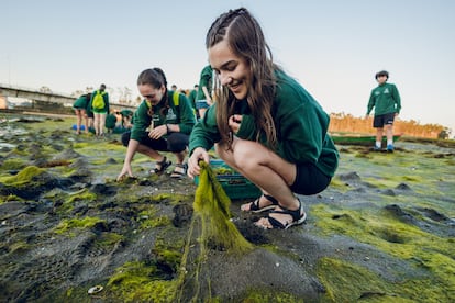 Unas adolescentes marisquean en la rías Baixas, durante la Ruta Quetzal 2024, en una imagen cedida por la expedición.