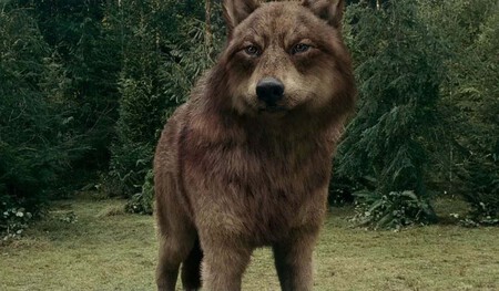 Jacob