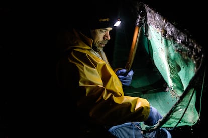 Guardiola recoge las angulas capturadas en la playa de Colunga, Asturias. 