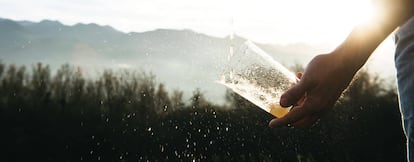 Las rutas sidreras permiten a los visitantes descubrir el proceso de elaboración, participar en la recolección de manzanas y degustar la sidra en los llagares tradicionales.