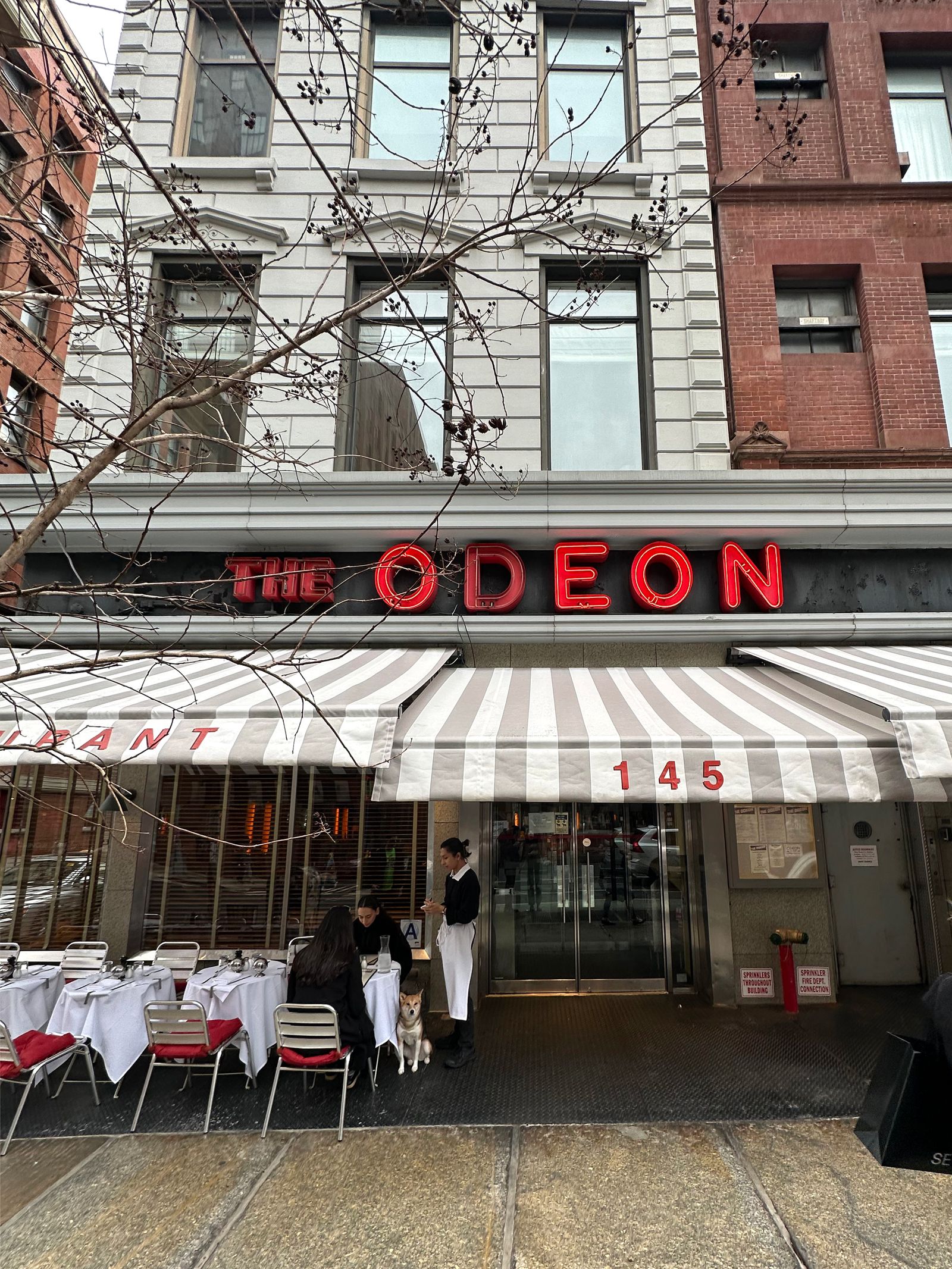 The Odeon Nueva York