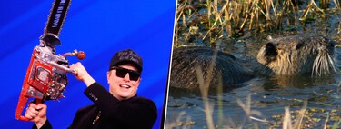 Elon Musk despidió a 6.000 empleados hace dos semanas. Ahora EEUU se enfrenta a la entrada masiva de especies invasoras