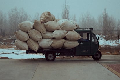 Fardos de lana cruda de camino a las factorías de Ningbo, donde se producirá la magia del cachemir.