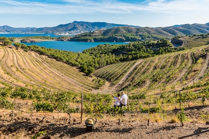 Excursión a los viñedos de la finca Garbet, de Bodega Perelada.