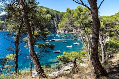 Barcas visibles desde el sendero arbolado a la cala Pedrosa, en Palafrugell.