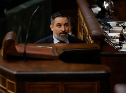 El presidente de VOX, Santiago Abascal, interviene durante la sesión plenaria en el Congreso de los Diputados, este miércoles.