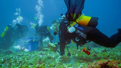 Miembros de la expedición científica de Monaco Explorations a Saya de Malha en 2022. 
