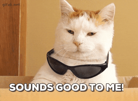 Desactiva la función de búsquedas recientes Gatito diciendo: "me suena bien".- Blog Hola Telcel