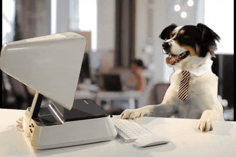 Perro en la oficina feliz de que ahora la plataforma de Teams de Microsoft incorpore funciones de Skype.- Blog Hola Telcel 