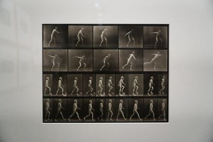 Un modelo desnudo del fotógrafo Eadweard Muybridge imita el movimiento de un discóbolo en una serie y en otra camina, en la exposición que puede verse en el Museo Universidad de Navarra.