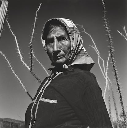 'Desierto de Sonora'.