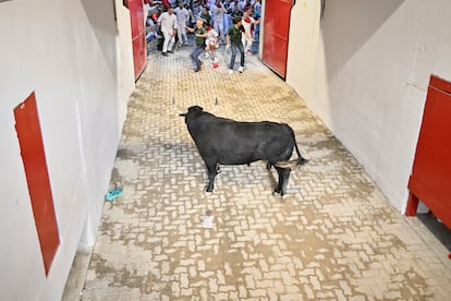 Tercer encierro San Fermin 2025