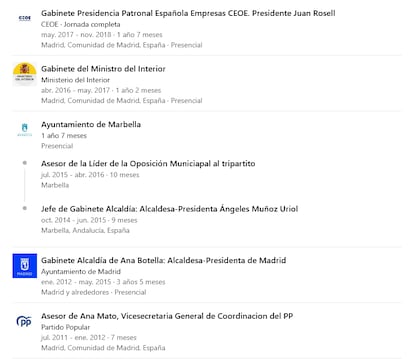 Captura de pantalla del LinkedIn de Álvarez Meana