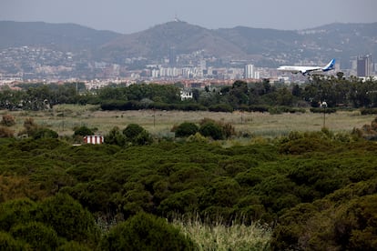 Un avión se dispone a aterriza en el Aeropuerto de Barcelona-El Prat, el pasado junio. 