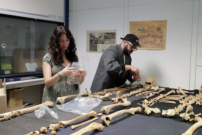 El equipo de investigación clasifica los restos de esqueletos.