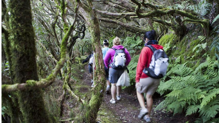 José Antonio Murga Baptista: [Tenerife Extrema] Deporte, Tecnología y Naturaleza.